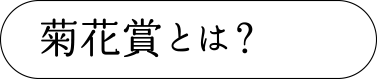 菊花賞とは？